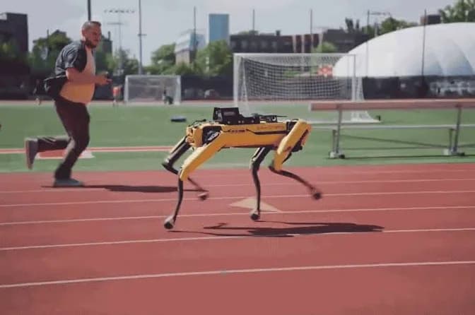 US ICE to Purchase Robotic Dogs for Law Enforcement Inspections